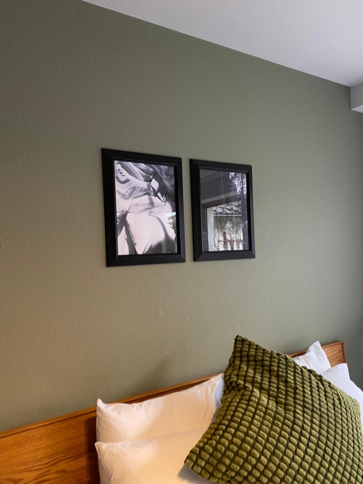 Black Forest Apartments Titisee Экстерьер фото