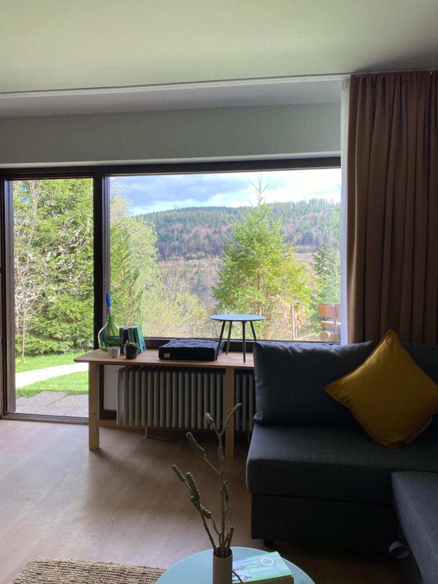 Black Forest Apartments Titisee Экстерьер фото